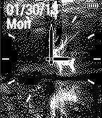 Stag Reflection Analog