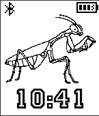 Praying Mantis Bug Insect