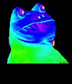 Mlg Frog Gif