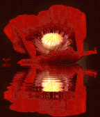 Poppy Animated with Time, Date & Battery